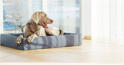 Bia Bed Hondenmand Original Grijs Bia-7 120X100X15 Cm