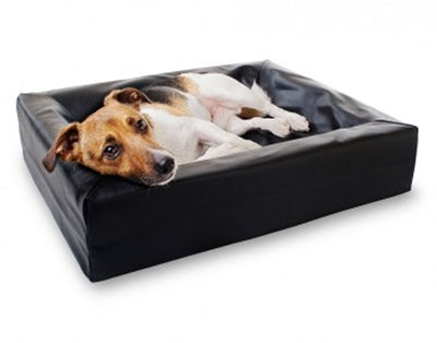 Bia Bed Hondenmand Orthopedisch Zwart Bia-2 60X50X12,5 Cm