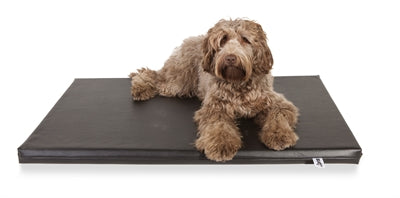 Bia Bed Matras Orthopedisch Ligbed Zwart 118X73X5 Cm
