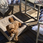 Bia Bed Hondenmand Outdoor Taupe Bia-2 60X50X12,5 Cm