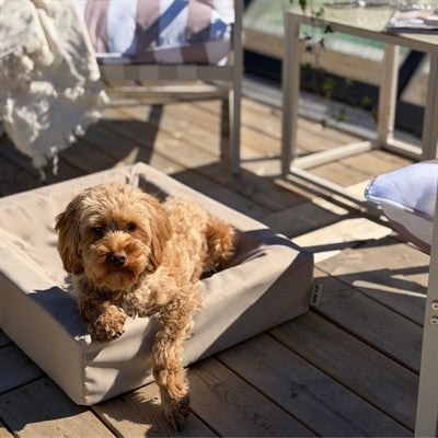 Bia Bed Hondenmand Outdoor Taupe Bia-2 60X50X12,5 Cm