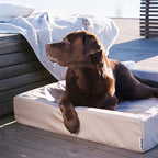 Bia Bed Hondenmand Outdoor Taupe Bia-7 120X100X15 Cm