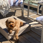 Bia Bed Outdoor Hoes Hondenmand Taupe Bia-3 70X60X15 Cm