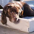 Bia Bed Outdoor Hoes Hondenmand Taupe Bia-6 100X80X15 Cm