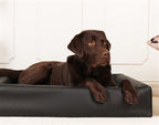 Bia Bed Hondenmand Original Square Zwart Bia-7 120X100X15 Cm