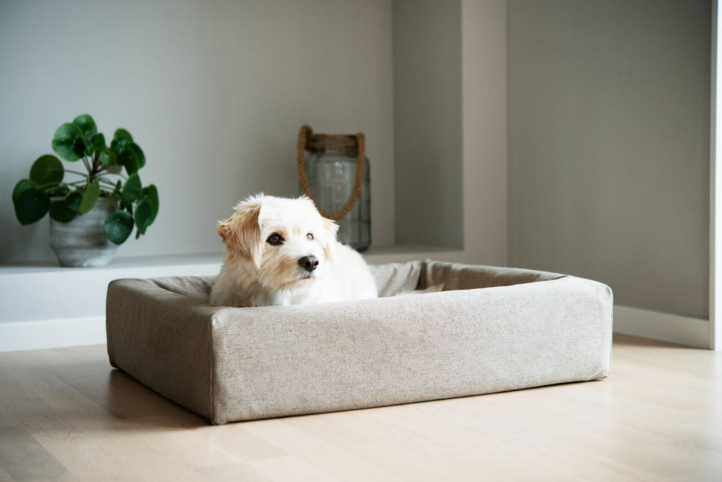 Bia-7 Skanor Bed 100x120 cm