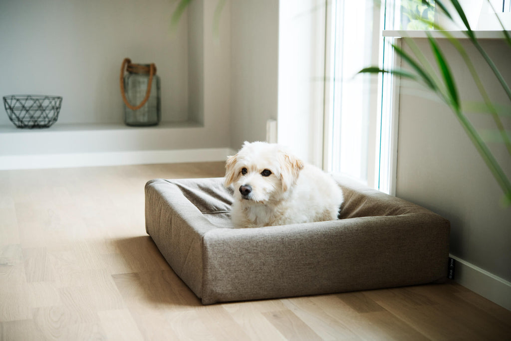Bia-7 Skanor Bed 100x120 cm