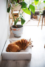 Bia-7 Skanor Bed 100x120 cm