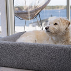 Bia Bed Premium Hoes Teddy Grijs 120X100X15 Cm
