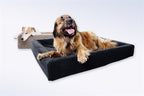 Bia Bed Fleece Hoes Hondenmand Grijs Bia-2 60X50X12,5 Cm
