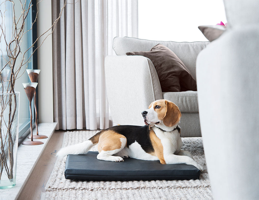 Bia Bed Mattress 118x73 cm (Crate Size)