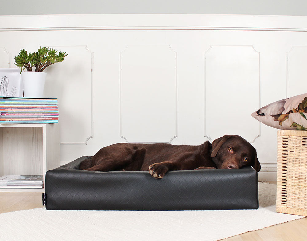 Bia Bed Original 4 Maat 70x 85 cm. Kleur Zwart. Square. Geschikt  voor ondermeer Labrador 