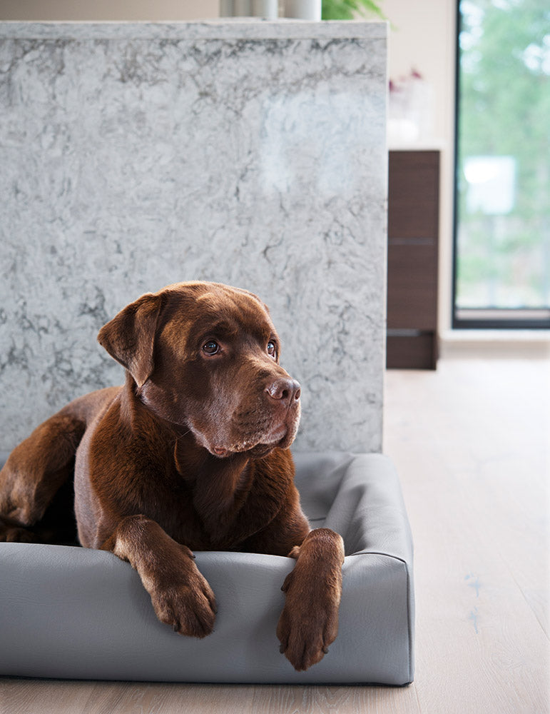 Bia Bed Original 4 Maat 70x 85 cm. Kleur Grijs. Geschikt  voor ondermeer Labrador en Flat Coated Retriever