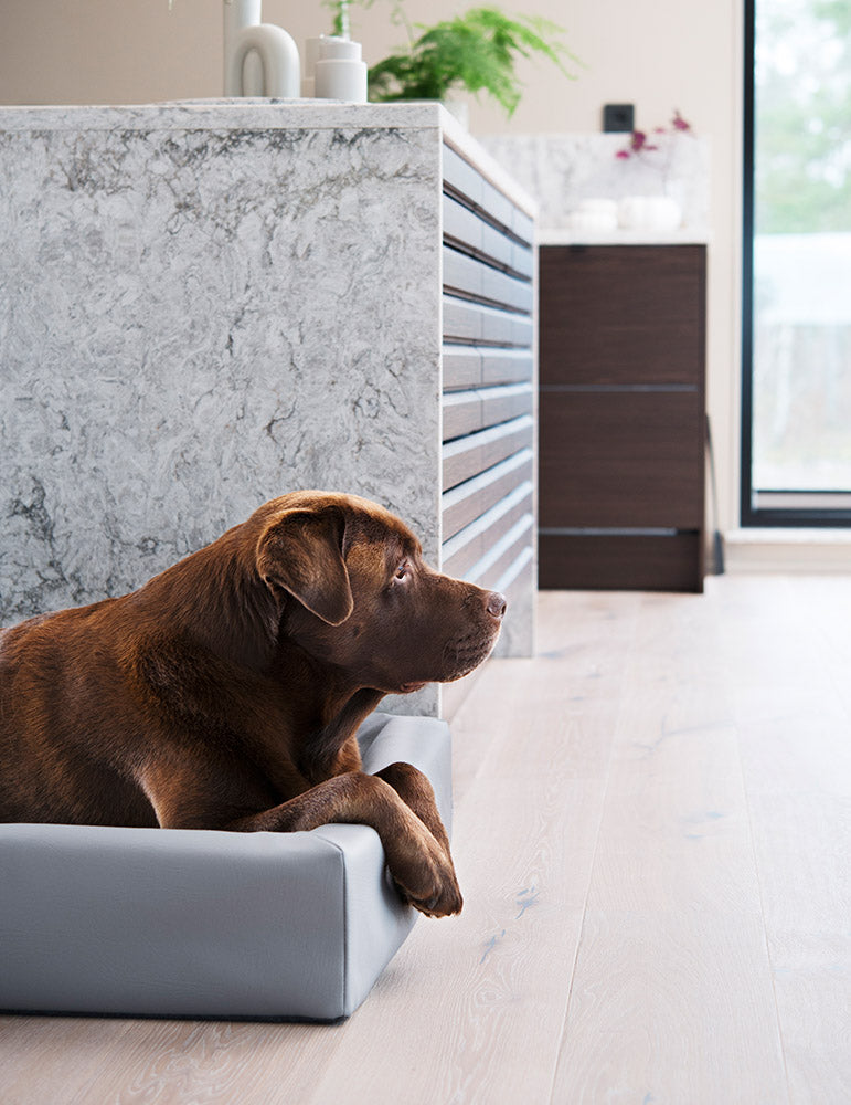 Bia Bed Original 4 Maat 70x 85 cm. Kleur Grijs. Geschikt  voor ondermeer Labrador en Flat Coated Retriever
