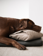 Bia Bed Mattress 105x66 cm (Crate Size)