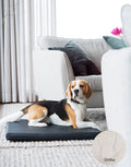 Bia Ortho Mattress 105x66 cm (Crate Size)