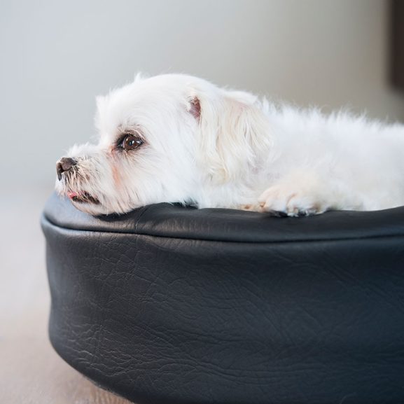 Bia Bed Orginal ronde hondenmand 50X50 cm voor ondermeer Chihuahua, Papillion of katten