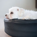 Bia Bed Orginal ronde hondenmand 50X50 cm voor ondermeer Chihuahua, Papillion of katten