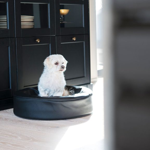 Bia Bed Original ronde hondenmand 50 x 50 CM in meerdere kleuren voor de kleinere hond 