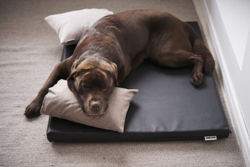 Bia Bed Mattress 105x66 cm (Crate Size)