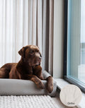 Bia Ortho 6 – 80×100 cm

Geschikt voor ondermeer Rottweiler en Herders

Buitenmaten: 80 x 100×15 cm
Slaap gedeelte: 60 x 80 cm
Dikte bodem: 5 cm