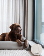 Bia Ortho 6 – 80×100 cm

Geschikt voor ondermeer Rottweiler en Herders

Buitenmaten: 80 x 100×15 cm
Slaap gedeelte: 60 x 80 cm
Dikte bodem: 5 cm