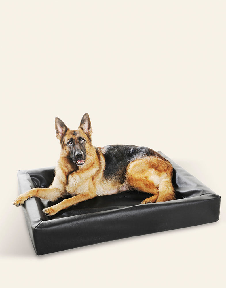 Bia Ortho 6 – 80×100 cm

Geschikt voor ondermeer Rottweiler en Herders

Buitenmaten: 80 x 100×15 cm
Slaap gedeelte: 60 x 80 cm
Dikte bodem: 5 cm
