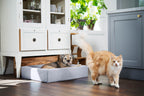 Bia-4 Cotton Cover 85x70 cm