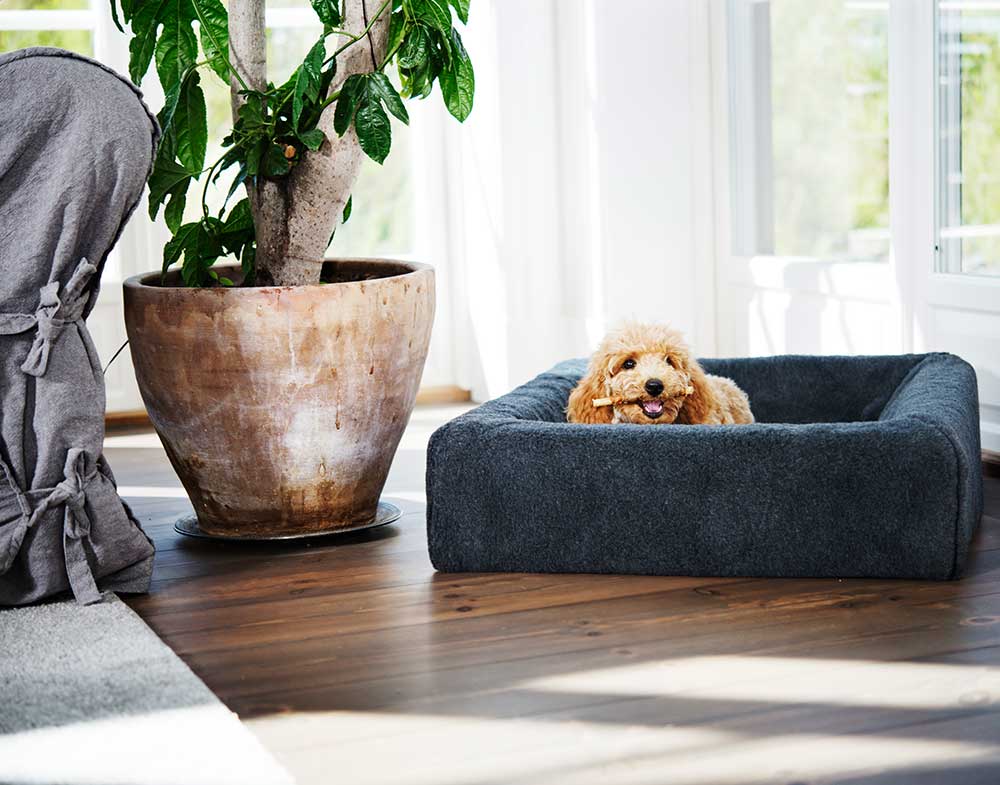 Bia-7 Dog Bed Cover Fleece 120x100