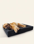Bia-6 Dog Bed Cover Fleece 100x80