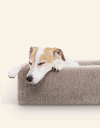 Bia-2 Dog Bed Cover Fleece 60x50