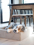 Bia-2 Dog Bed Cover Fleece 60x50