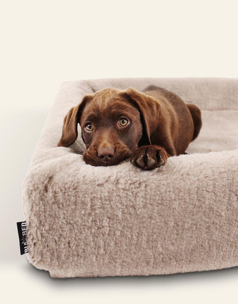 Bia-6 Hoes Hondenbed Fleece 100x80