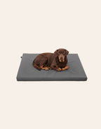 Bia Bed Mattress 73x50 cm (Crate Size)