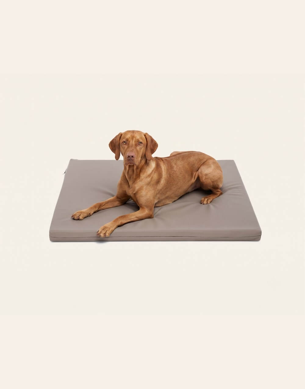 Bia Bed Matras 73x50 cm (Benchmaat)