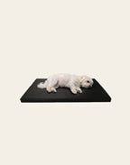 Bia-7 Mattress 120x100 cm