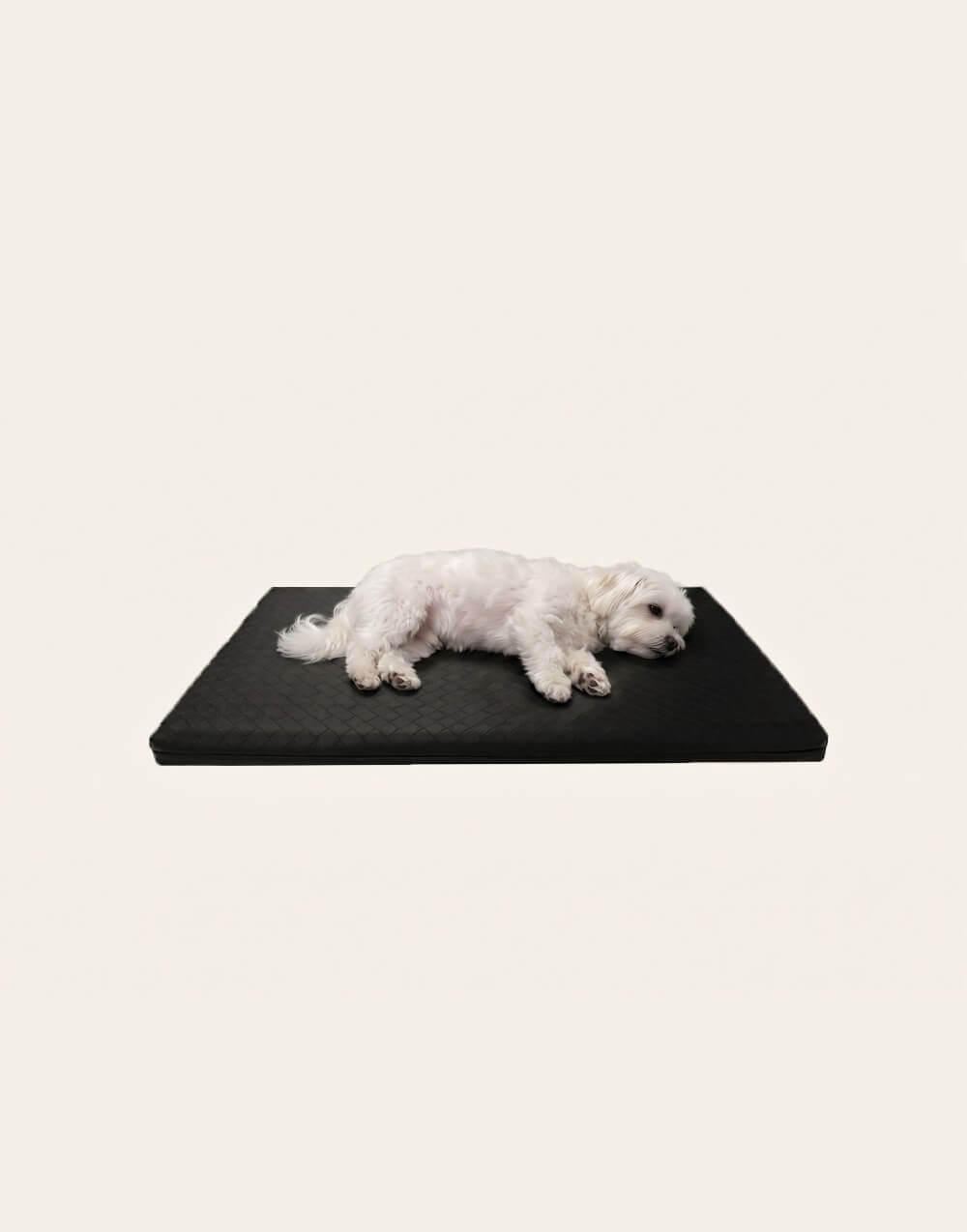 Bia-2 Matras 60x50 cm