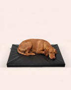 Bia Bed Mattress 105x66 cm (Crate Size)